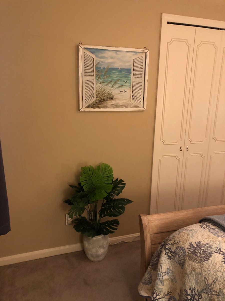 Furnished Finder property 248676_1 photo 15