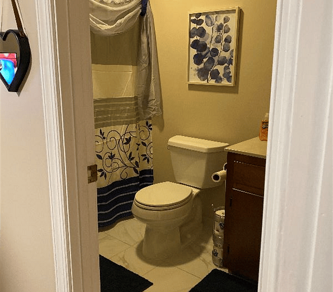 Furnished Finder property 248706_1 photo 6