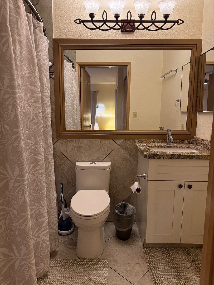 Furnished Finder property 248857_1 photo 14
