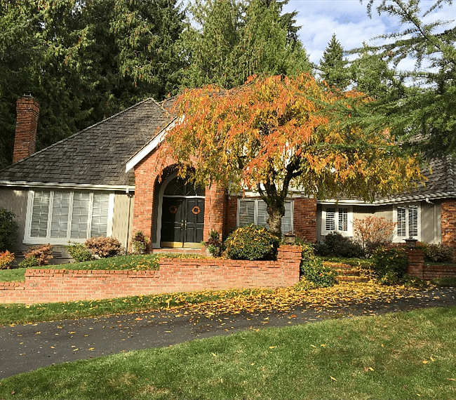 Furnished Finder property 249052_1 photo 11