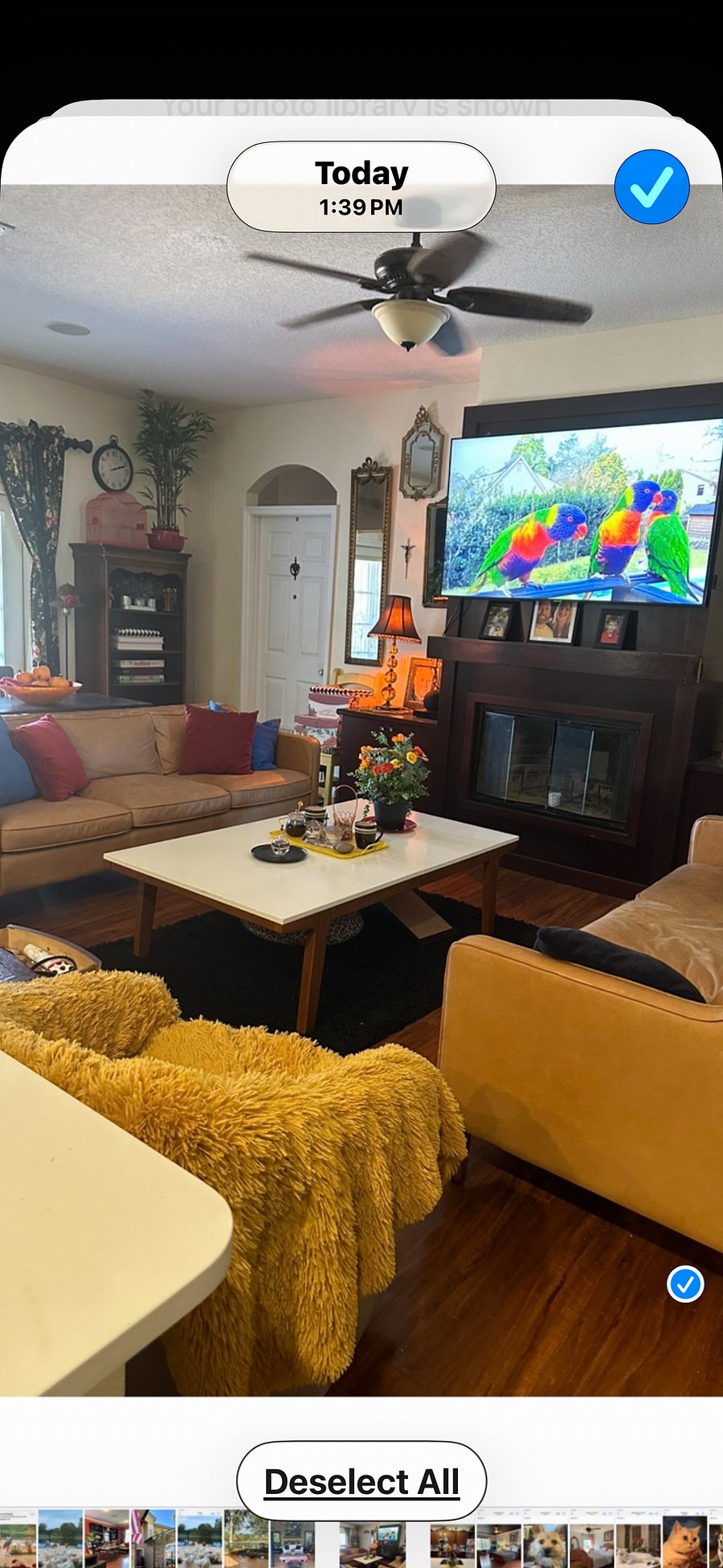 Furnished Finder property 249289_1 photo 4
