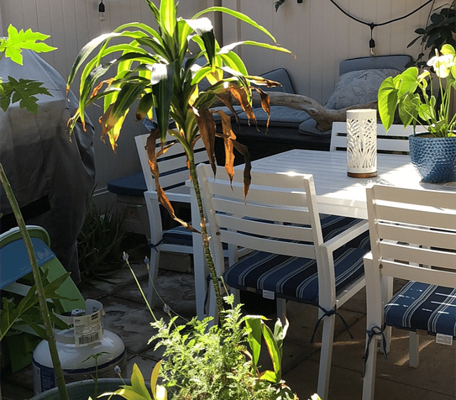 Furnished Finder property 249351_1 photo 7