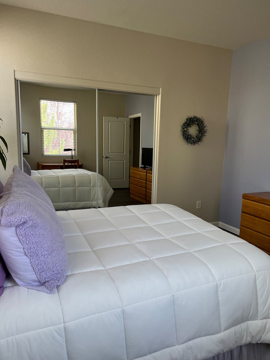 Furnished Finder property 249399_1 photo 4