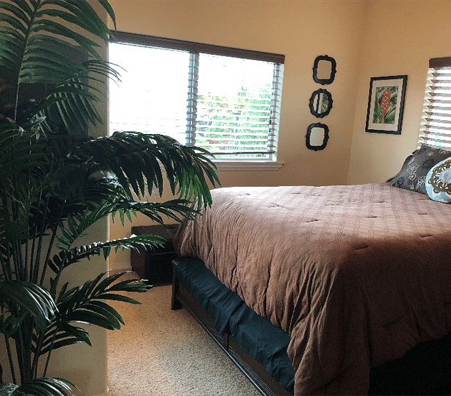 Furnished Finder property 249452_1 photo 9