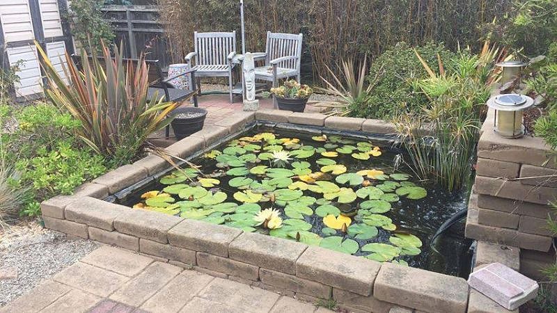 community outdoor space
Koi pond