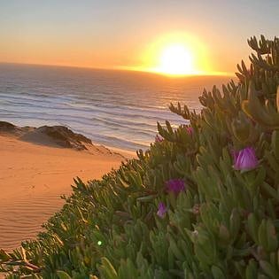 just down the street and up a sand dune. Marina Beach