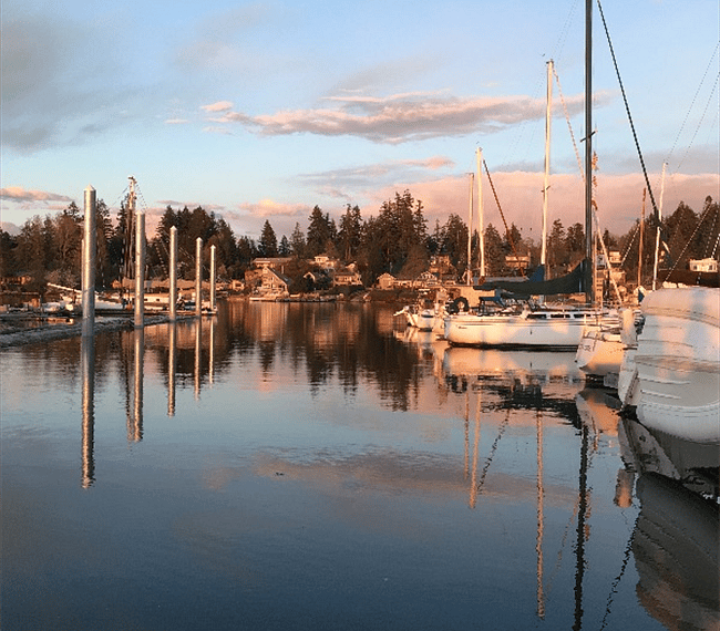local marina just down the road