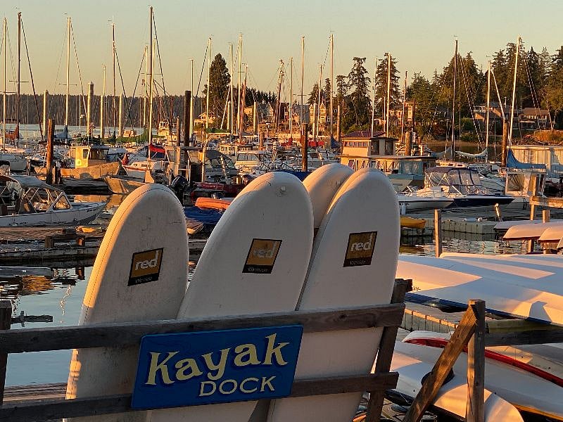 great place to recreate just under 1 mile down the road. This is the hidden gem local hangout at Boston Harbor Marina, Olympia, WA
