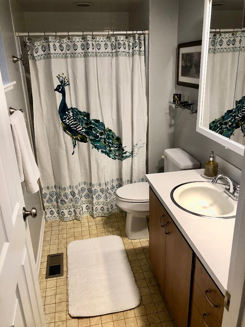 Furnished Finder property 249620_1 photo 4