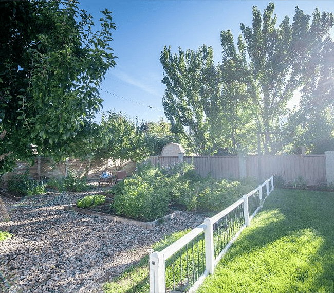 Amazing backyard garden