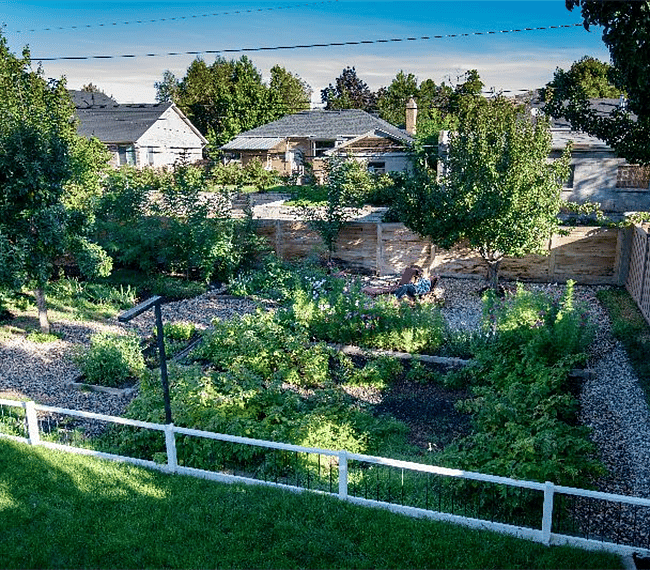 Amazing backyard garden