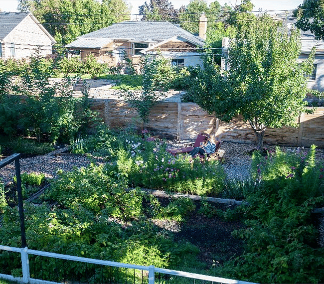 Amazing backyard garden