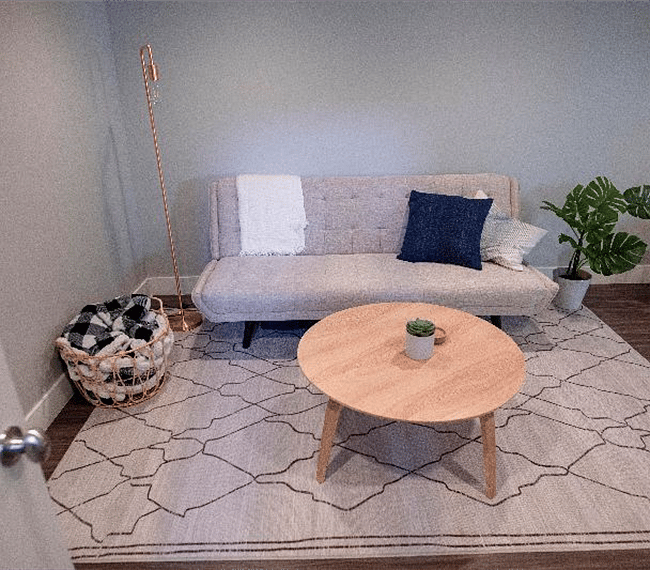 Cozy living room with comfy furnitures