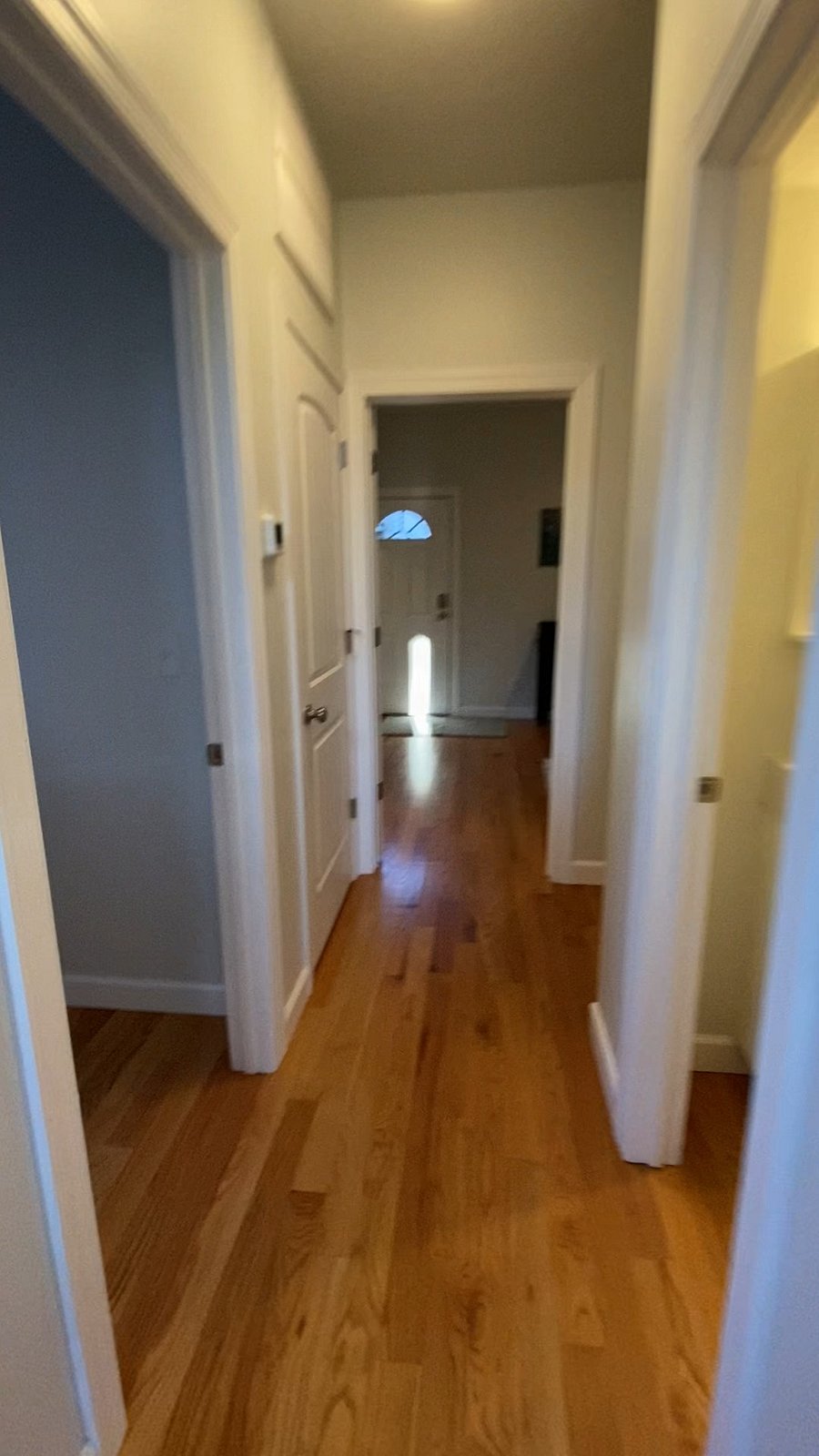 Furnished Finder property 249659_1 photo 13