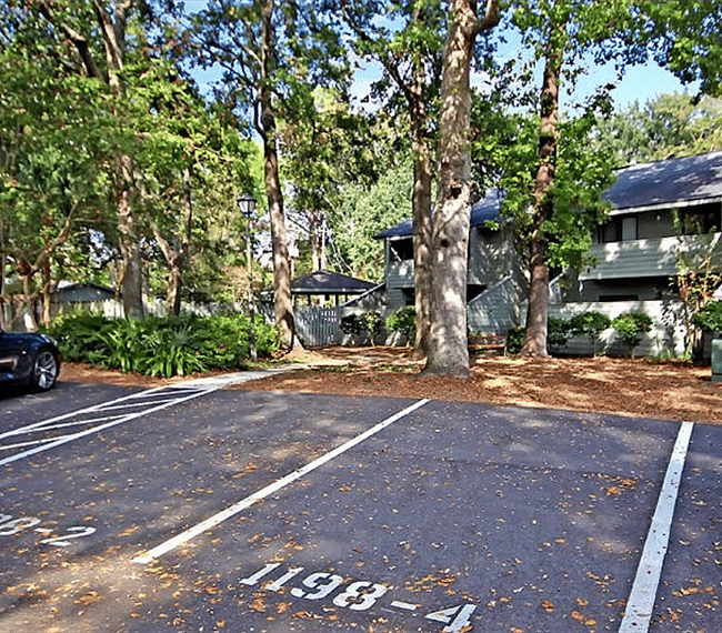 Furnished Finder property 249674_1 photo 4