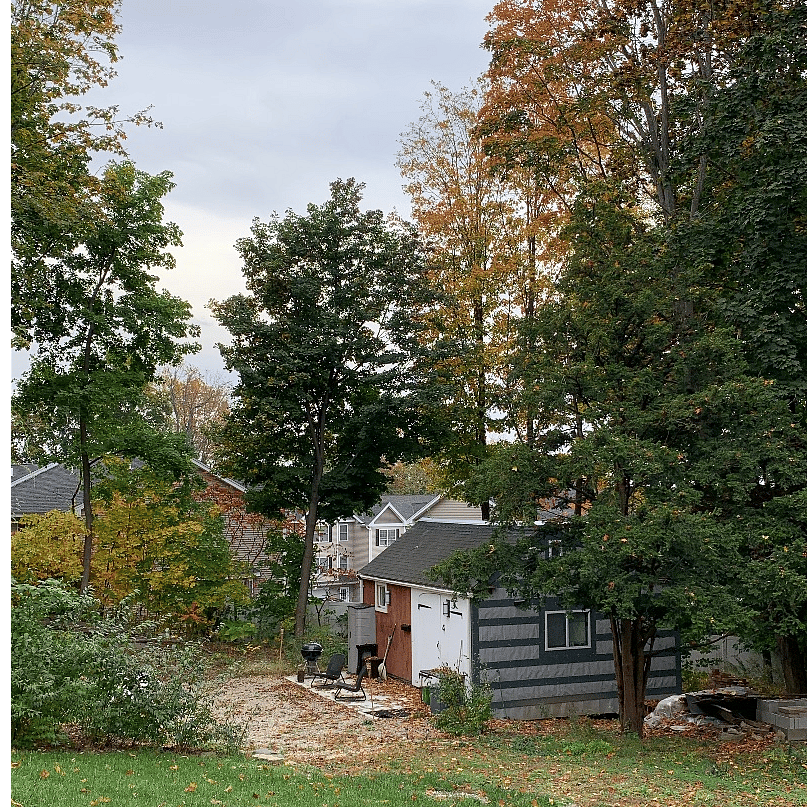 View of Rex - early fall.