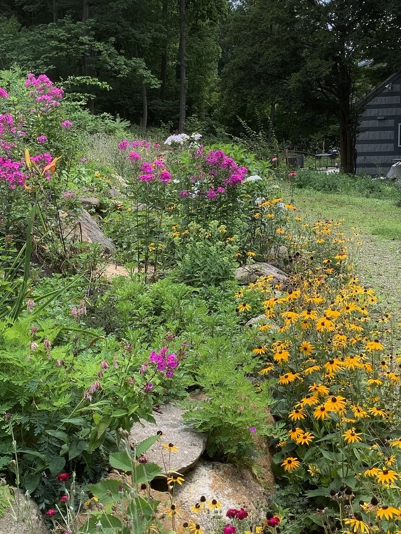 Gardens along walk path to the Rex house.