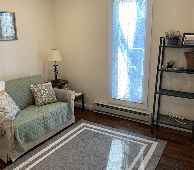 Living room couch with pullout bed.