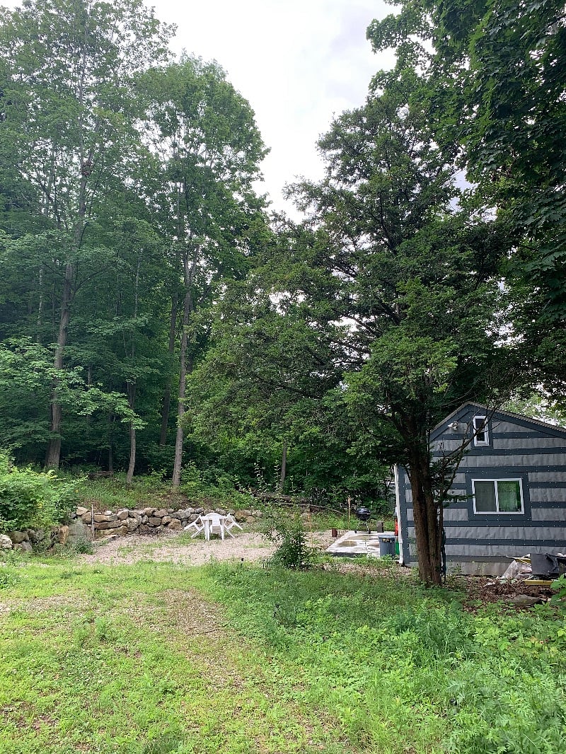 North side of Rex and surrounding woods.