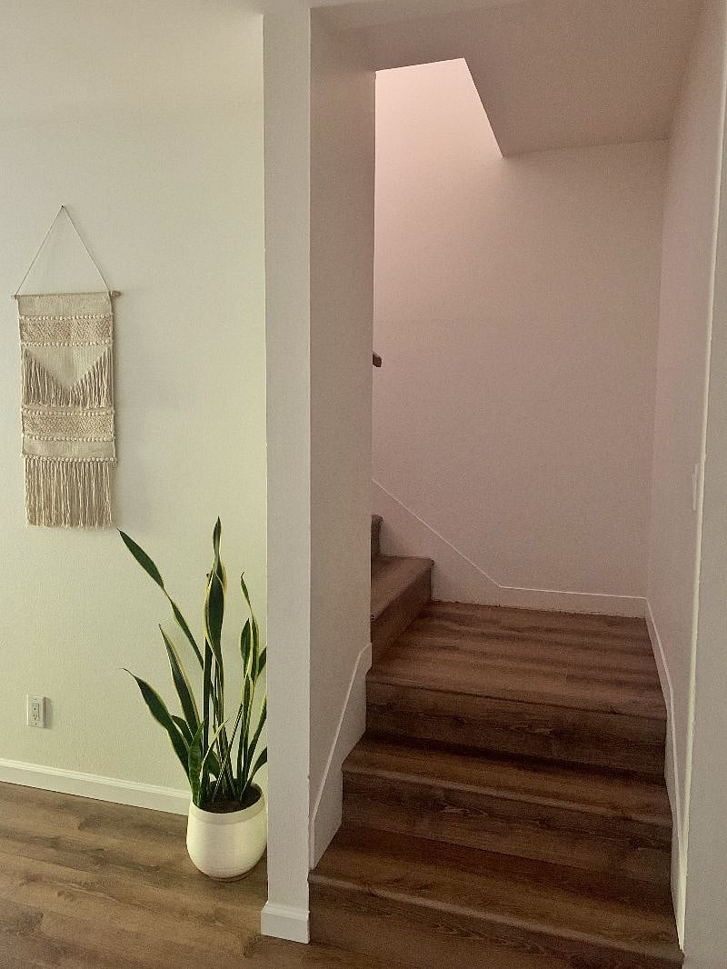 Furnished Finder property 250077_1 photo 3