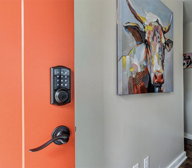 Furnished Finder property 250189_1 photo 22