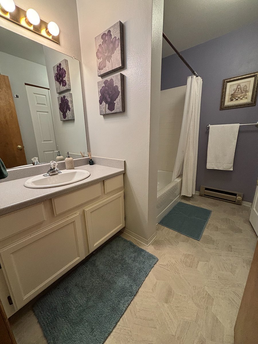 Furnished Finder property 250245_1 photo 13