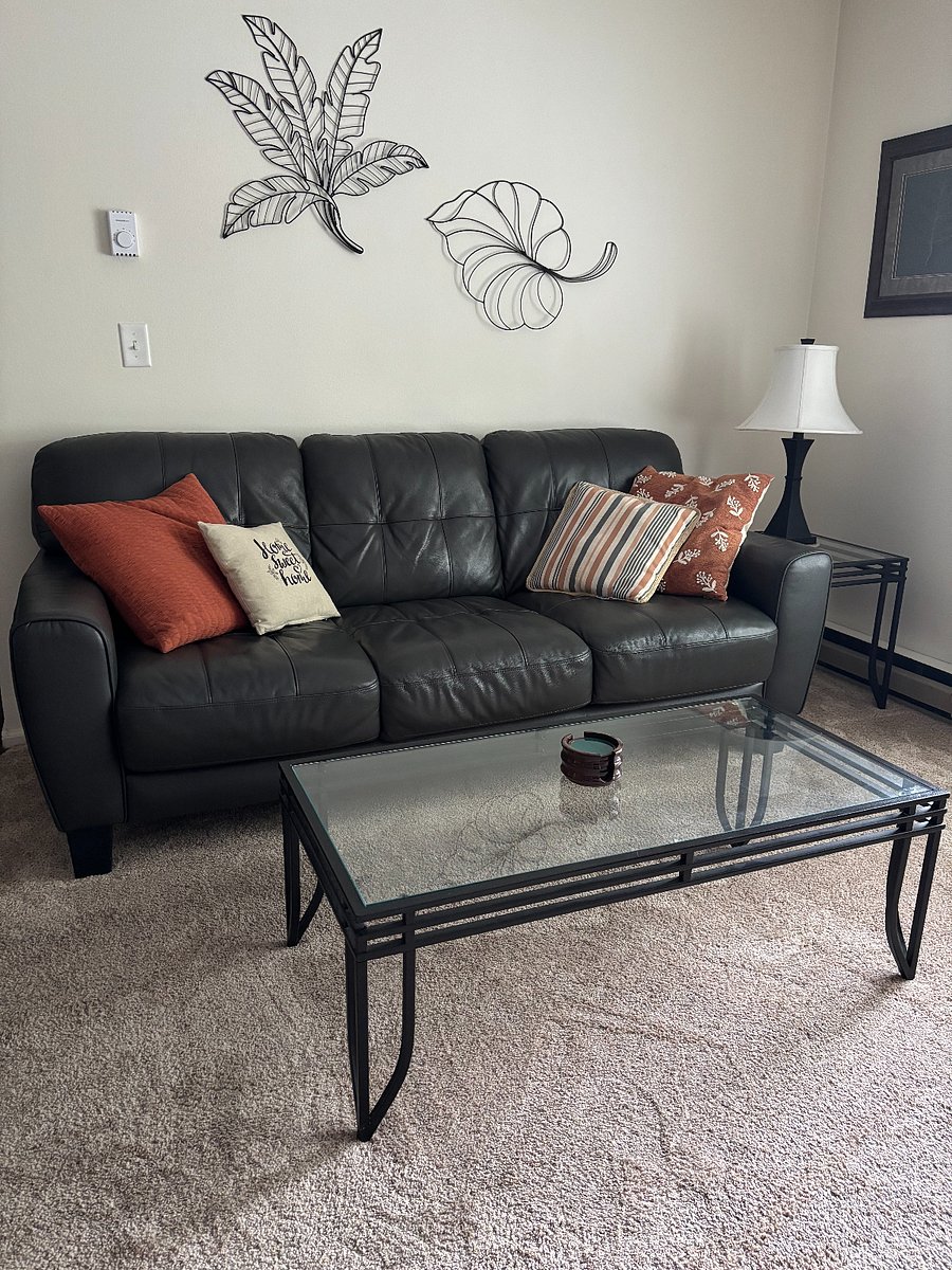 Furnished Finder property 250245_1 photo 12