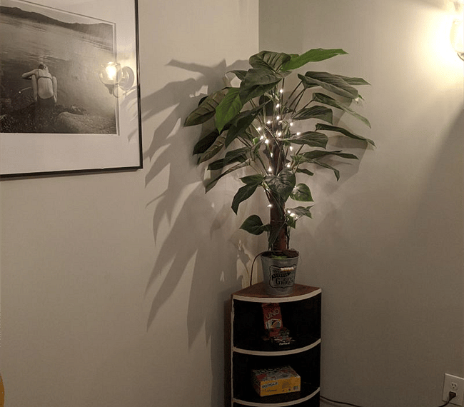 Furnished Finder property 250429_1 photo 9