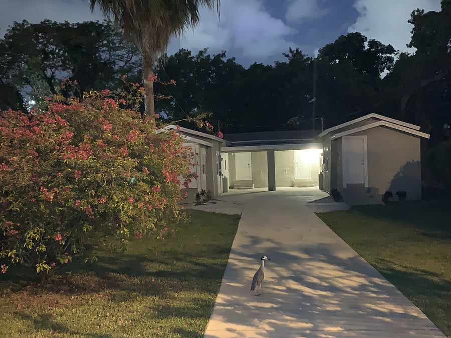 Furnished Finder property 250723_2 photo 15