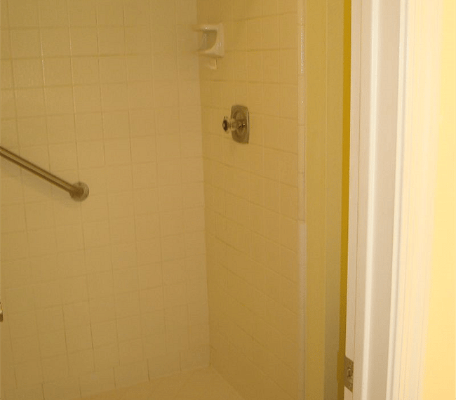 Master shower