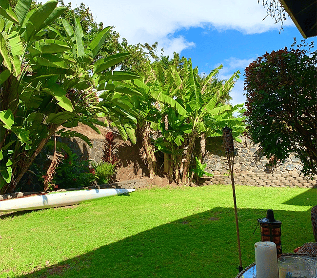 Furnished Finder property 250987_1 photo 13
