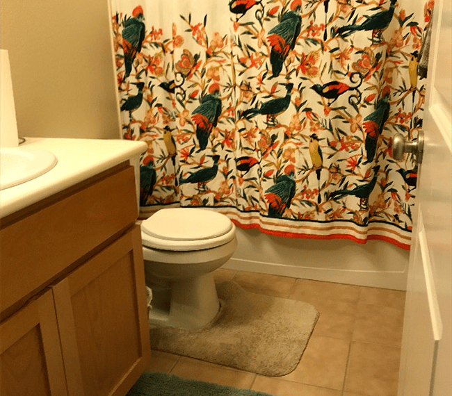 Furnished Finder property 251057_1 photo 3