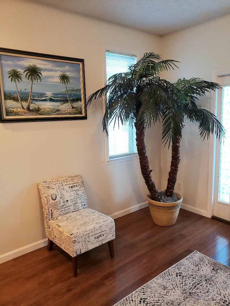 Furnished Finder property 251315_1 photo 5