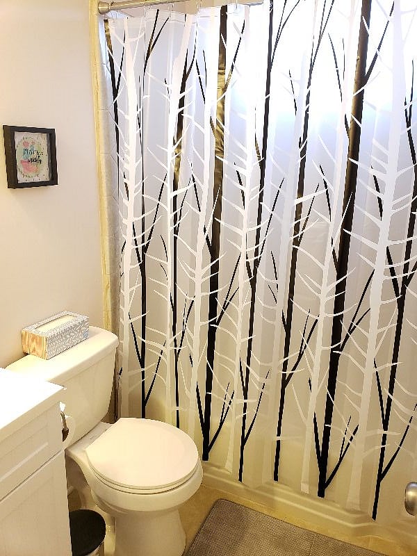Furnished Finder property 251350_2 photo 13