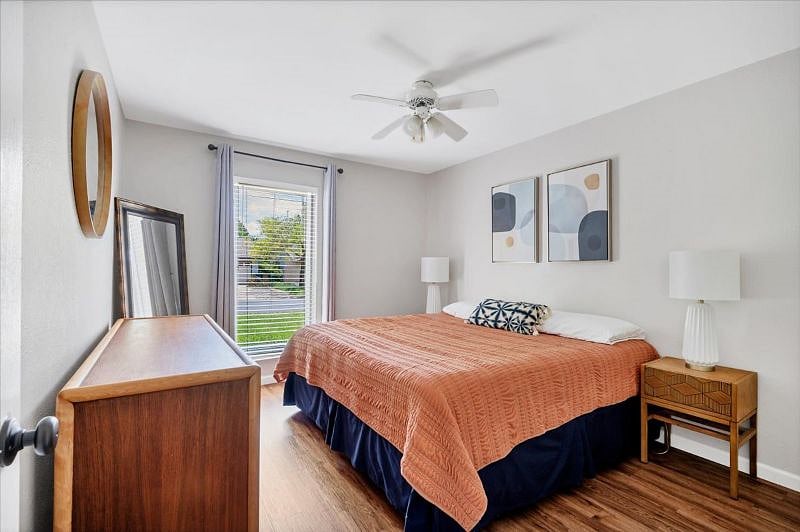 Furnished Finder property 251369_1 photo 11