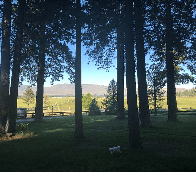 Beautiful views