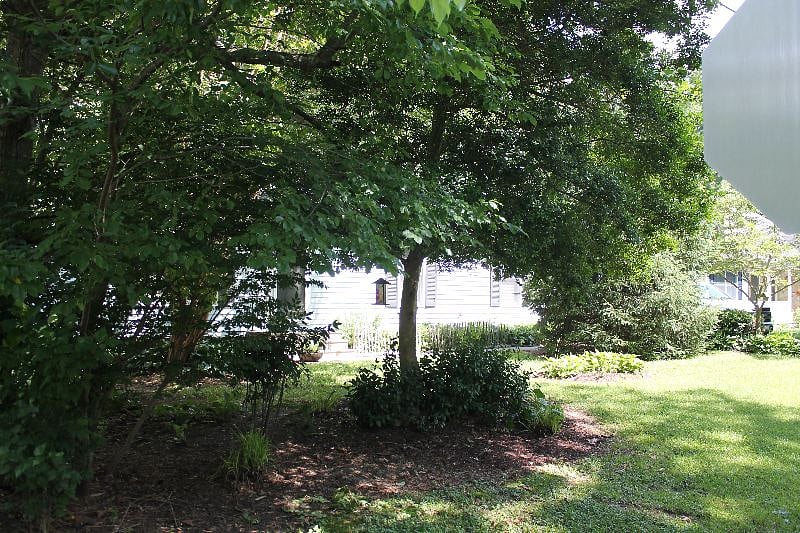 Front yard