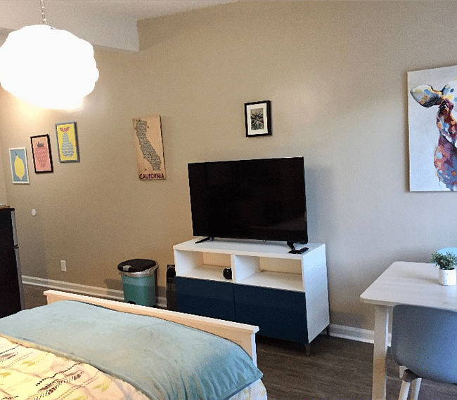 Furnished Finder property 251839_1 photo 5