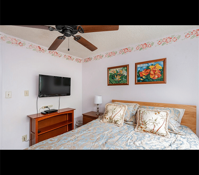 Furnished Finder property 251878_1 photo 9