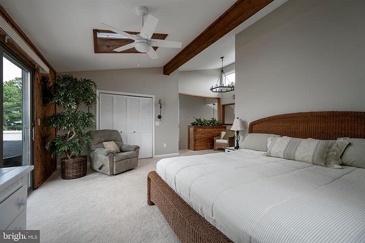 Furnished Finder property 251902_1 photo 19