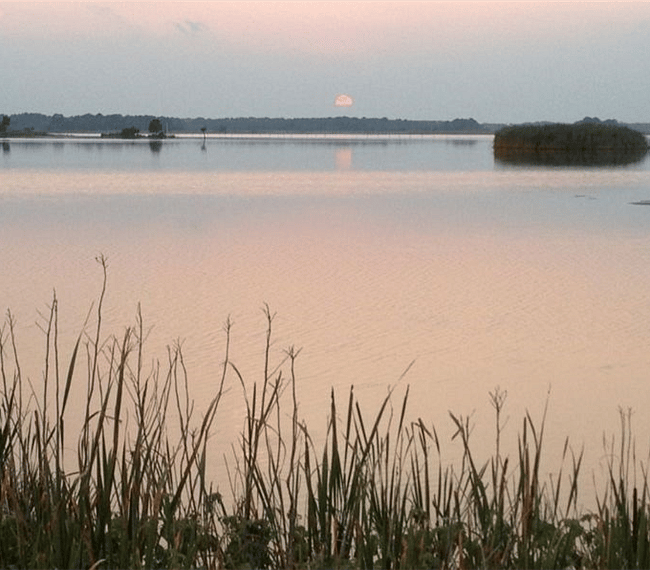 Marsh
