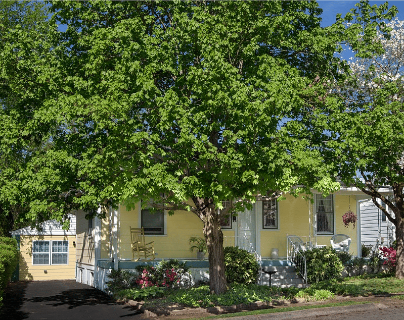 Main house with the cottage at the end of the drive.
