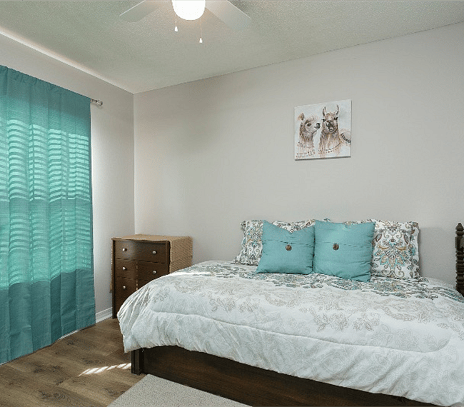 Furnished Finder property 252027_1 photo 12