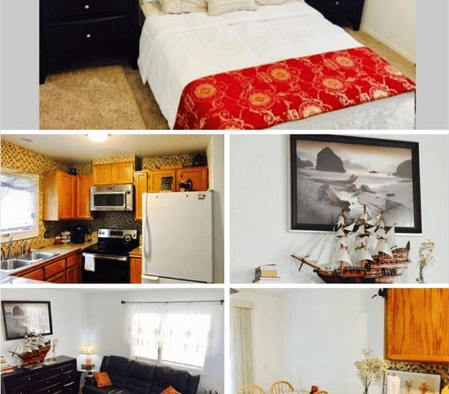 Furnished Finder property 252096_1 photo 3