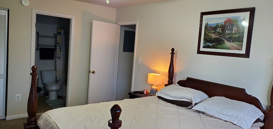 Furnished Finder property 252182_1 photo 16
