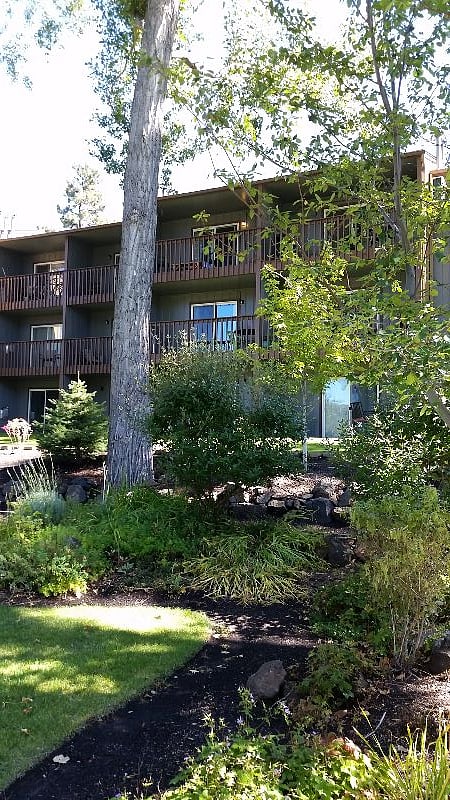 Furnished Finder property 252203_1 photo 24