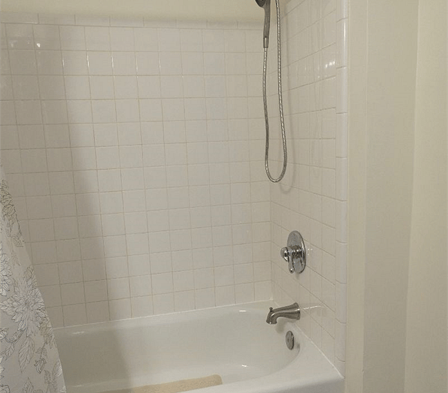 Downstairs Master Bath