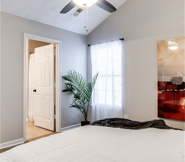 Furnished Finder property 252266_1 photo 8