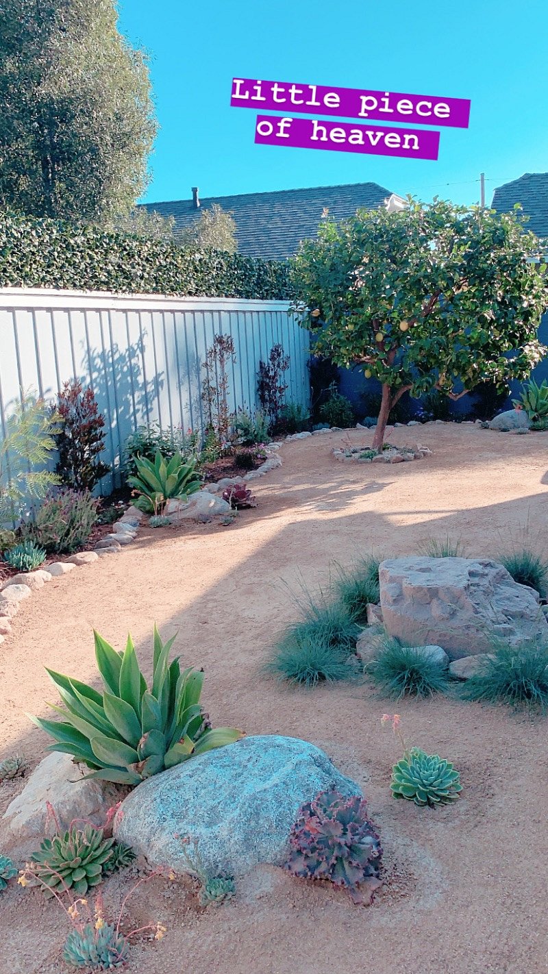 Secluded back garden and sitting area