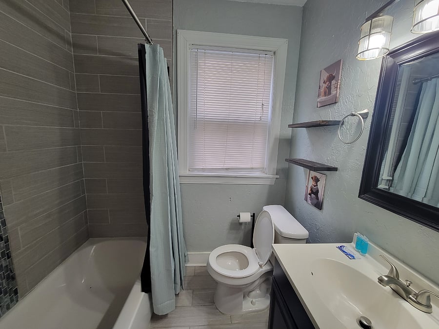Furnished Finder property 252602_1 photo 14